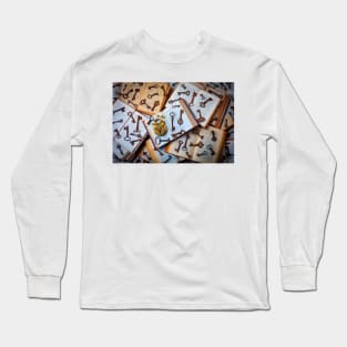 Owl Lock And Old Keys On Books Long Sleeve T-Shirt